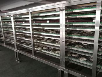 خط إنتاج خبز التورتيلا (قابل للتخصيص)