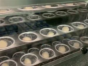 وحدة تخمير كرات العجين