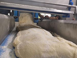 وحدة تربيت العجينة