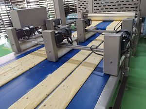 العجينة قبل القطع