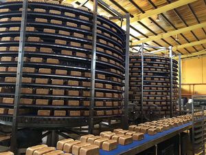 التبيد قبل التعبئة والتغليف