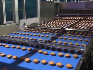 بعد التحميس